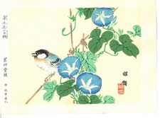 Kouno Umerei Woodblock print Chickadee Great Tit First edition Meiji ~