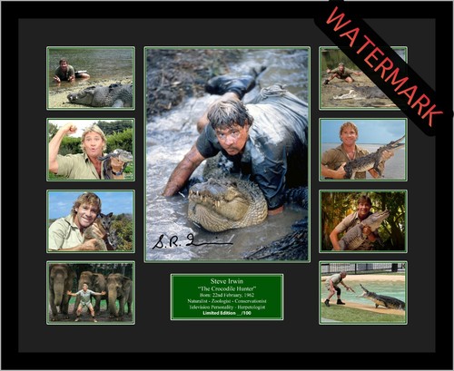STEVE IRWIN THE CROCODILE HUNTER LIMITED EDT 100 ONLY SIGNED FRAMED ...
