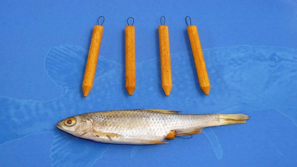 5x Auftriebskörper für Köderfische - Auftriebsholz - Grundangeln - Ködermontage