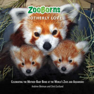 Zooborns Motherly Love: Celebrating the Mother-Baby Bond at the World's Zoos...