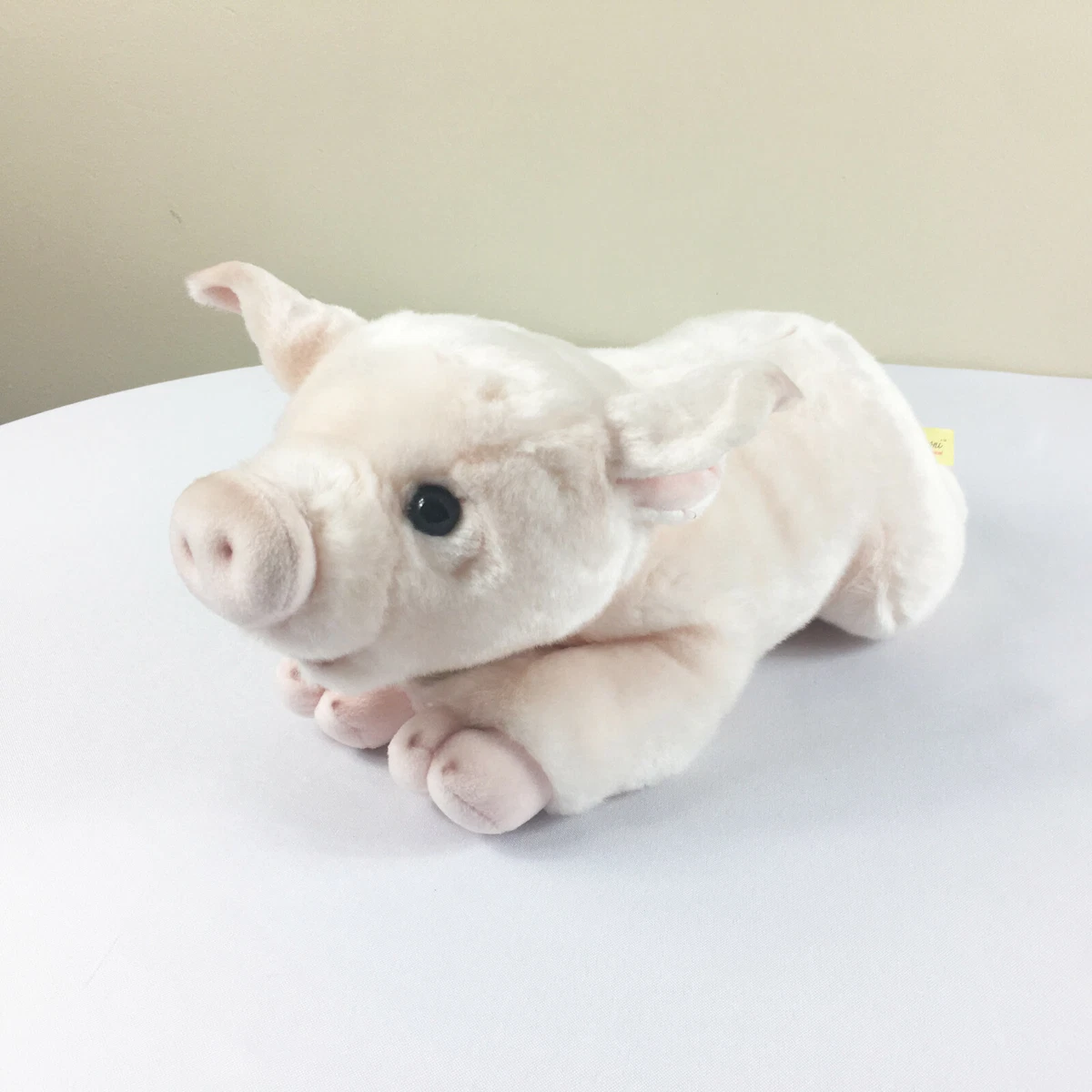 Miyoni pig clearance
