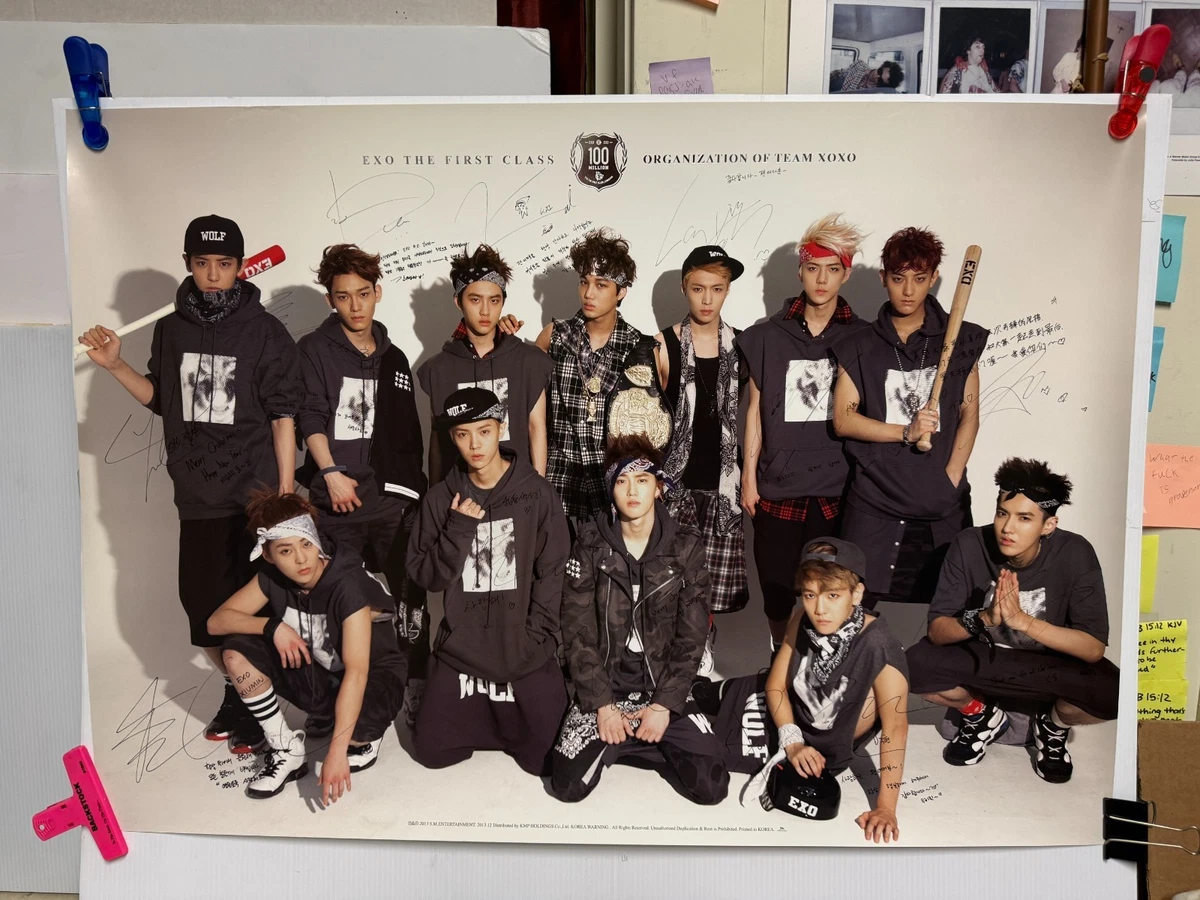 exo xoxo products for sale | eBay