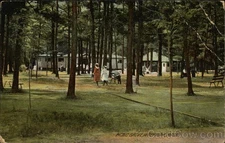 Wrentham,MA Picnic Grove Rotograph Norfolk County Antique Vintage Postcard PC