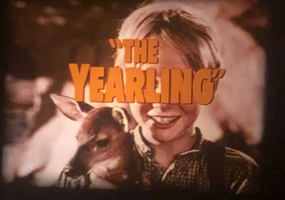 THE YEARLING 1946 TRAILER SUPER 8 COLOUR SOUND 50FT 8MM CINE FILM