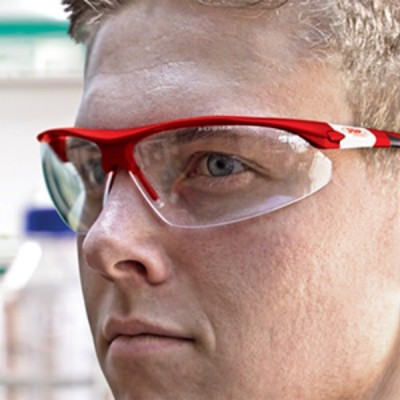 stealth safety glasses