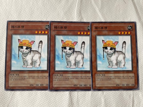 FET-KR033​ Rescue Cat Common ​Near Mint 1st Edition ​YuGiOh Playset Korean - Picture 1 of 3