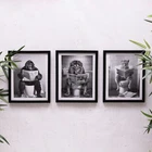 Lion, Gorilla, Cheetah Print on Toilet Black Framed Canvas Picture Wall Art