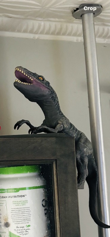 Wild Republic Velociraptor Dinosaur Figure Toy 2014 MPN 2326 C
