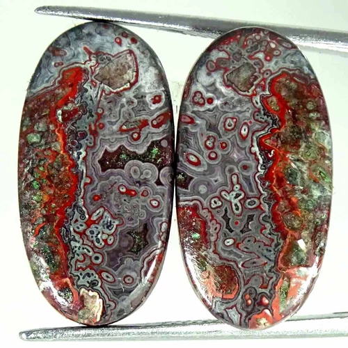 19.60Cts Natural Crazy Lace Agate Oval Pair Cabochon Loose Gemstone
