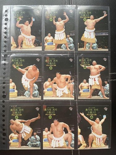Bbm Bbm2001 Sumo Card Takanohana Puzzle Set Of 9 - 第 1/11 張圖片