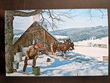 Maple Sugar Time in Vermont - Mid 1900s, Rough Edges