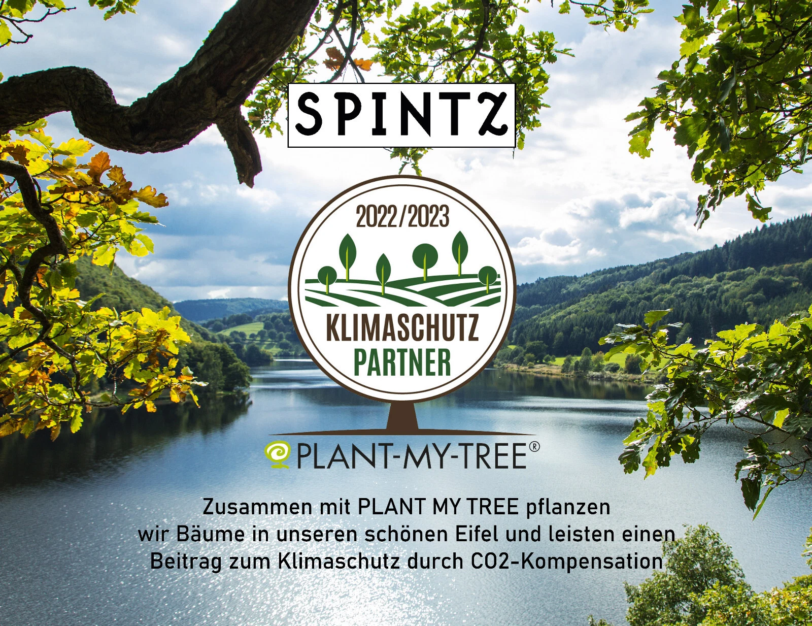 Bild 11 von 12
