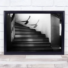 The Visitor Creative Edit Birds Eerie Mood Surreal Animal Staircase Art Print