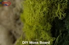 Video 1 of 1