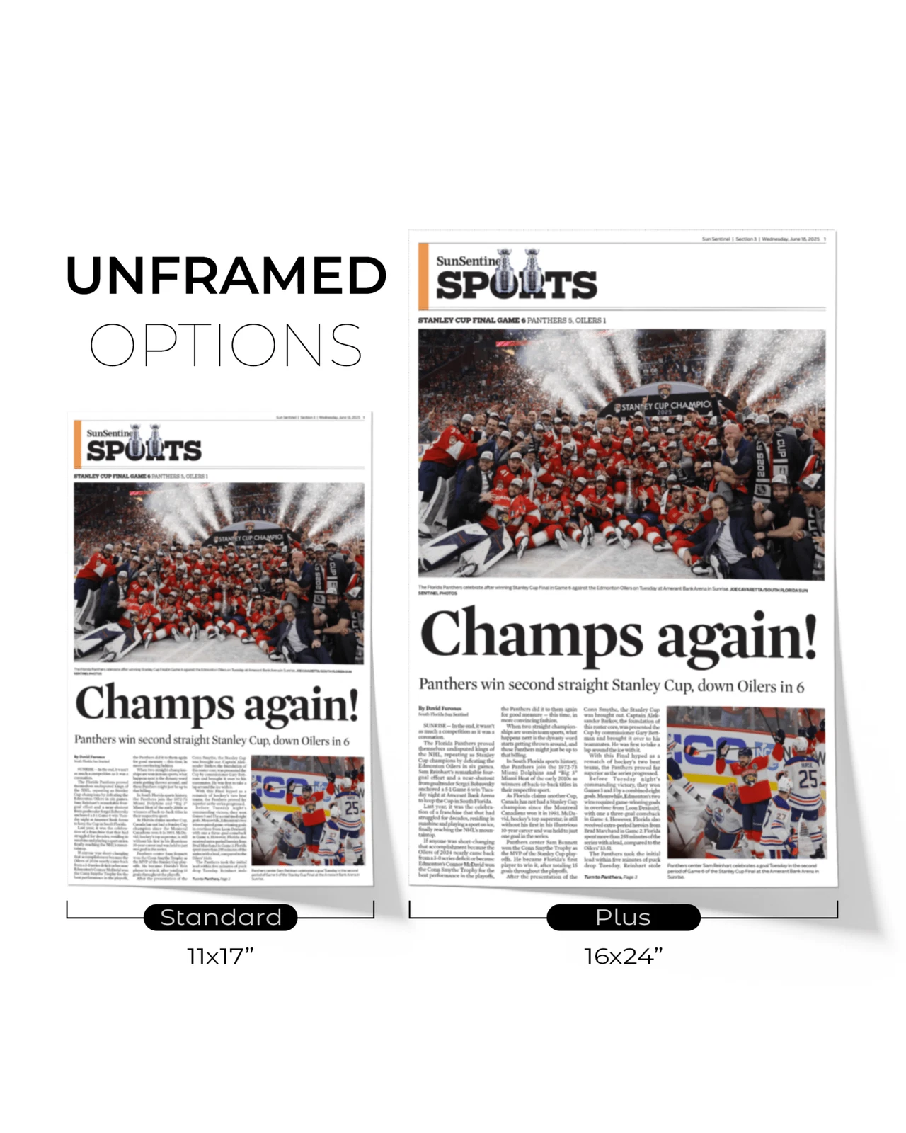 2025 Florida Panthers Stanley Cup Winners "Champs Again!" UnFramed Sports Edition