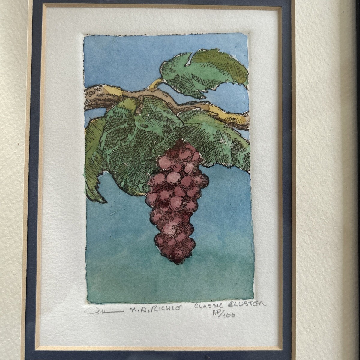Set of 2 Framed Vintage Botanical Grape Etchings Signed