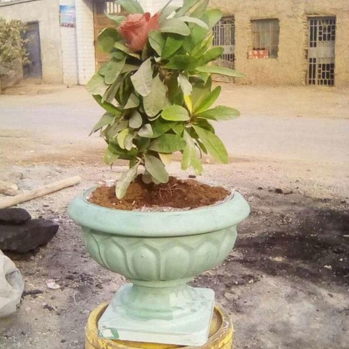 Concrete Garden Urn Flowerpot Mold Large Planters Flower Pots Plastic DIY Mould - Picture 8 of 12