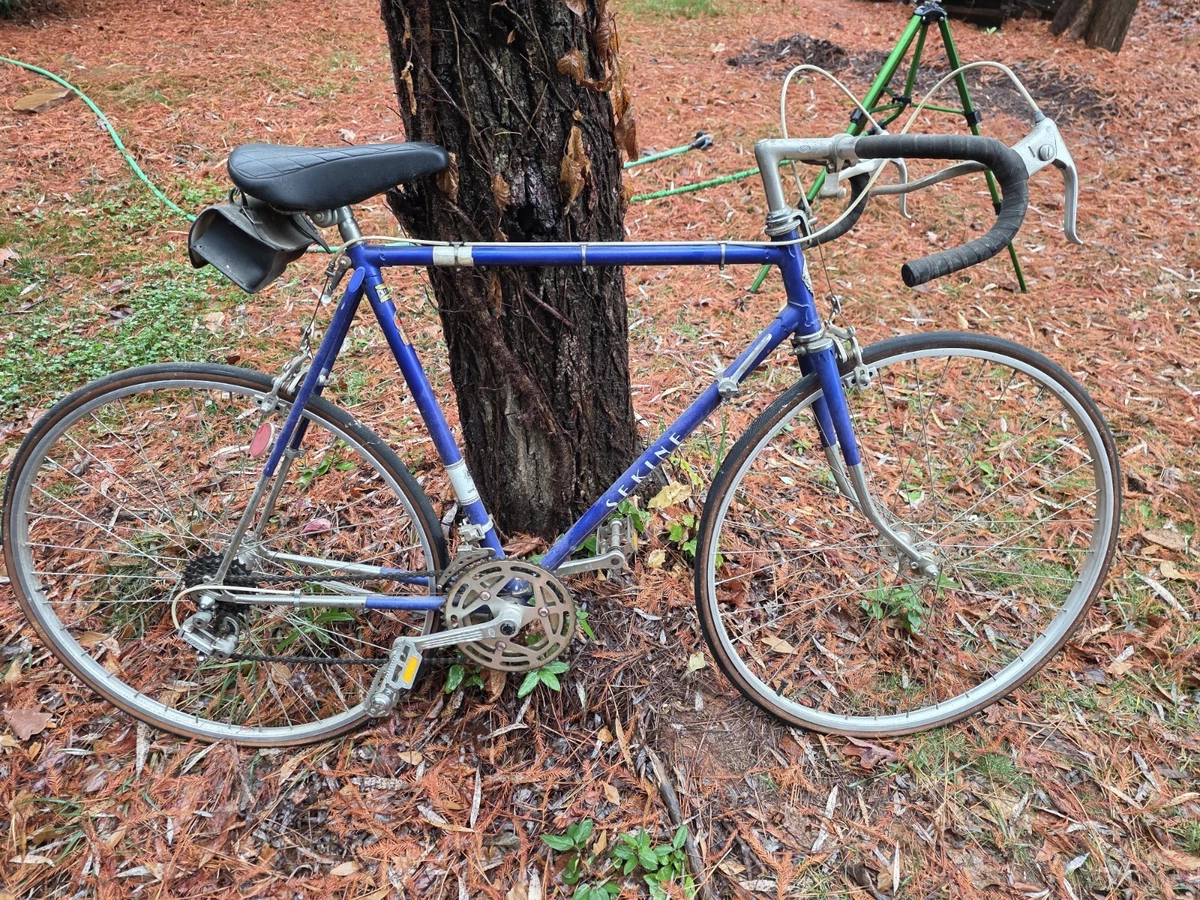 Blue 22 in Frame Vintage Bikes for sale | eBay