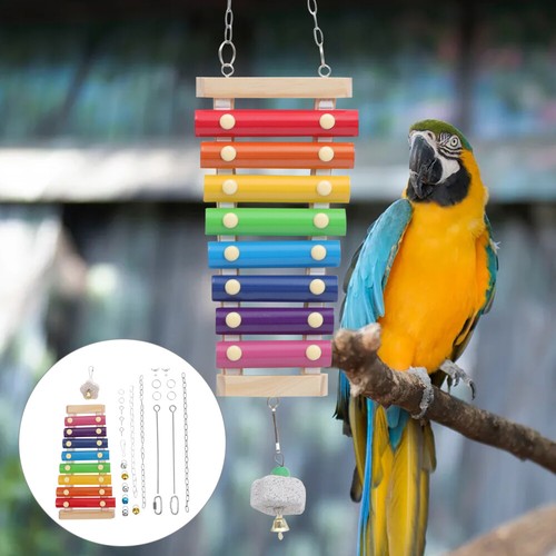 3pcs Bird Food Treat Skewer achats Bird Foraging Toy Parrot Foraging Toys