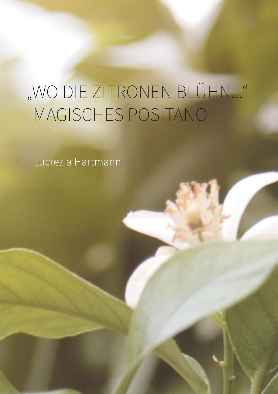 Thumbnail - Wo Die Zitronen Blühn....' Magisches Positano | Buch | 9783741258602
