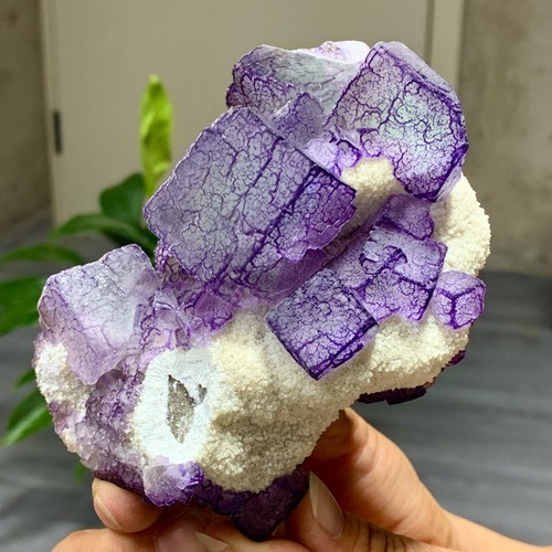 1,27 Pfund natürliches lila "QR-Code" Fluorit Cluster Kristall Mineral Probe/Guizhou - Bild 13 von 20