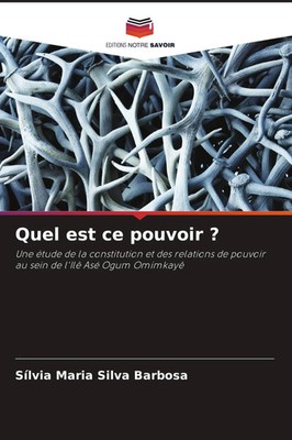 Sílvia Maria Silva Barbosa | Quel est ce pouvoir ? | Taschenbuch | Französisch