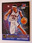 2025 Panini Amar'e Stoudemire Base (Raw)