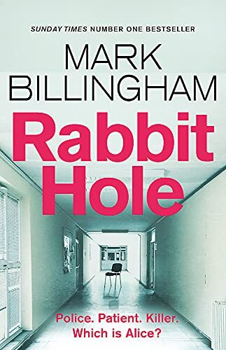 Rabbit Hole: The new masterpiece from the Sunday Times number o .9781408712443