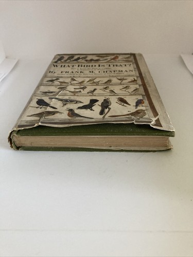 "What Bird Is That" By Frank M. Chapman 1920 Antique Hardcover - Picture 18 of 22