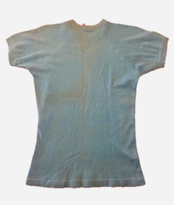 VINTAGE 1960s BSA MOTORCYCLE TEE SHIRT LION | eBay