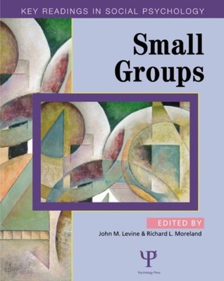 SMALL GROUPS by LEVINE JOHN M. Hardback Self Help Business