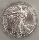 2002 Silver American Eagle Littleton L Uncirculated Bullion 1 Oz Back Rim Toned