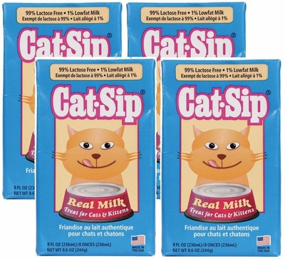 cat sip cat milk