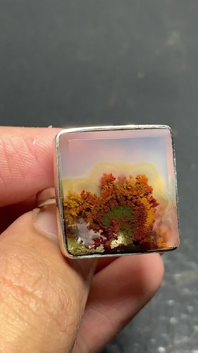 925 Sterling Silver Scenic Moss Agate Ring 21x20x5mm 9.25 USA/Canada - Video 1 of 1