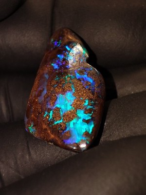 Koroit Boulder Opal 16,55 ct   spektakuläres Farbspiel   Queensland Australien