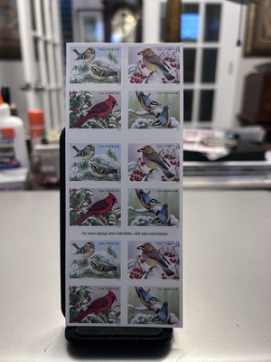 #ad #ad Mint US Songbirds in Snow Booklet Pane of 100 Forever Stamps Scott $19.99