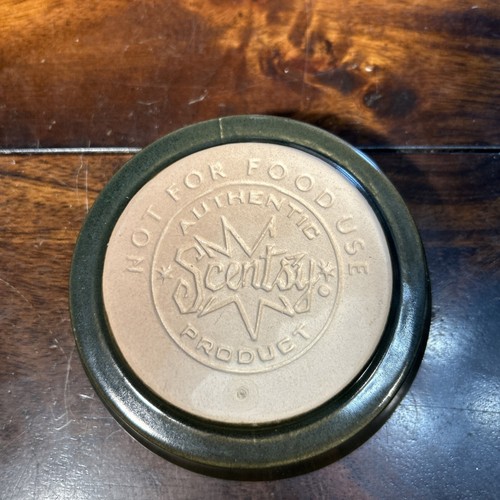 Scentsy Morocco Wax Warmer Electric Dark Sage Green Working - Imagen 3 de 5
