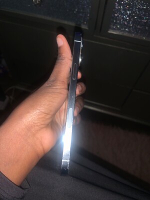 iPhone 13 Pro Max (Silver) With TikTok Installed