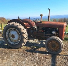 Massey Ferguson 35 Vintage MF Tractor Three Cylinder Great Smallholder Tractor 