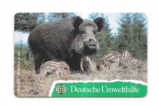 RARE / PHONE CARD - WILD BOAR: GAME HUNTING PIG / PHONECARD TELECARD