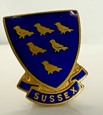 Vintage Abzeichen Sussex Blue Shield 6 Martlets Sussex Scouts JA Wylie & Co