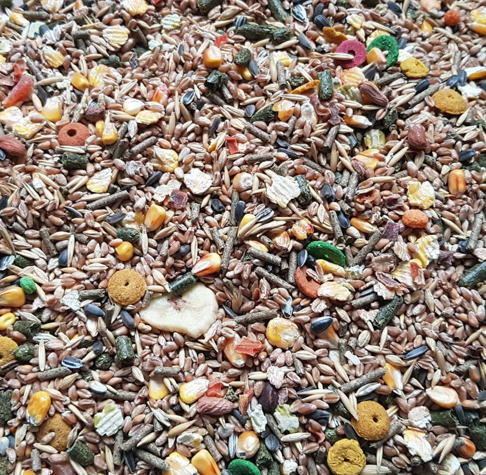 MANI-KO Rodents Food Pet Animal Hamster Rat Mouse Gerbil Treats Guinea Pig Rabbit Feed