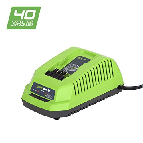 GreenWorks Tools VDE 2904607 40v Ladegerät online kaufen | eBay