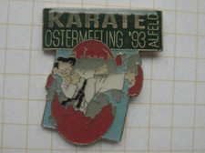 KARATE  / OSTERMEETING ´93 ALSFELD ...................... Kampf-Sport-Pin (205a)