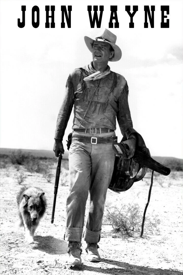 359233 John Wayne Duke Cowboy Western Actor Hondo Art Decor Print Poster |  eBay