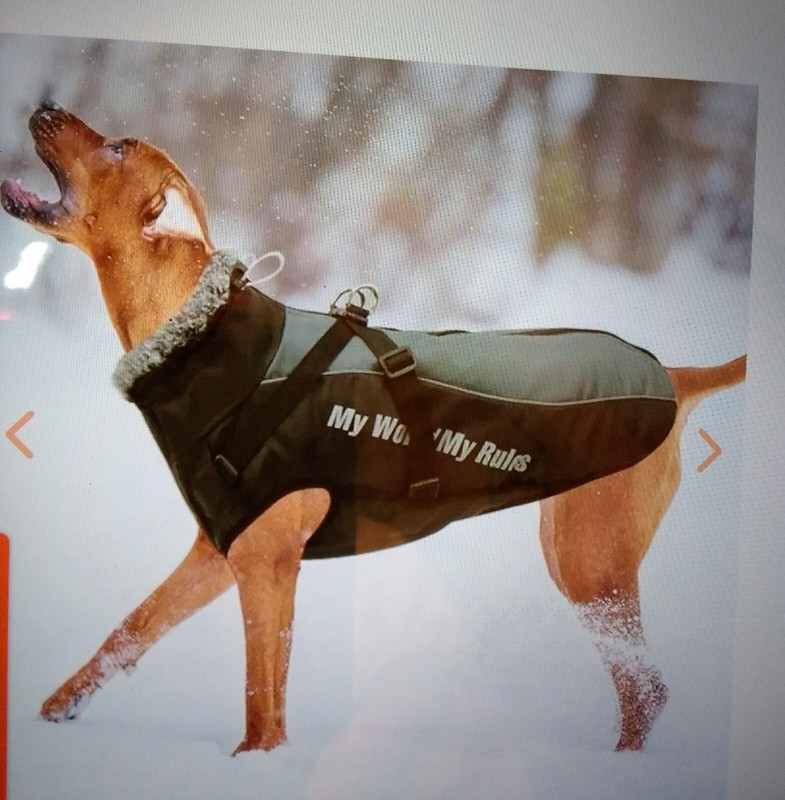 NEW! XL  "My World My Rules" Back Clip Winter Harness Vest Jacket