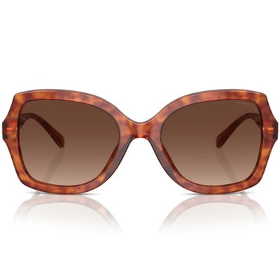 Coach HC8295 5774T5 Brown-Gold Sunglasses 56mm / New  display picture 3