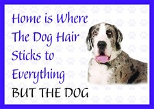 Home is Where The Dog Hair-Funny Great Dane Vinyl Car Van Decal Sticker Pets