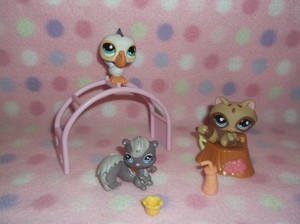 littlest pet shop raccoon