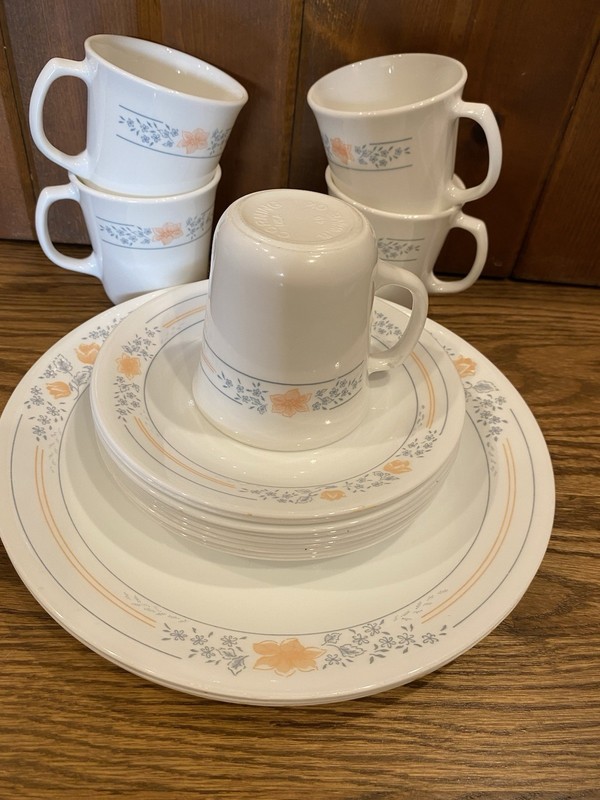 Corelle Apricot Grove Dinnerware Plates Cups 18 Pieces